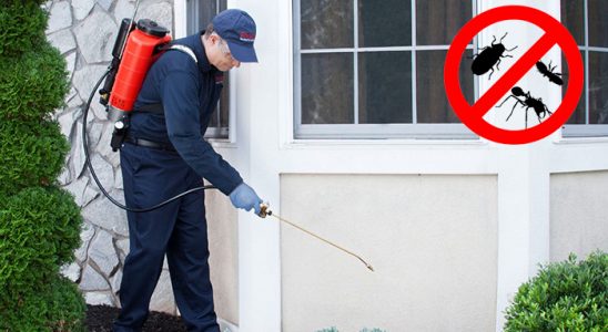 Çiftlikköy Böcek İlaçlama böcek ilaçlama ve haşere kontrolü — ilaclama-tr.com